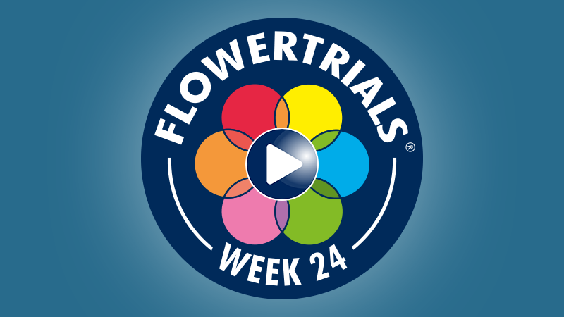 Watch FlowerTrials® Video Reports