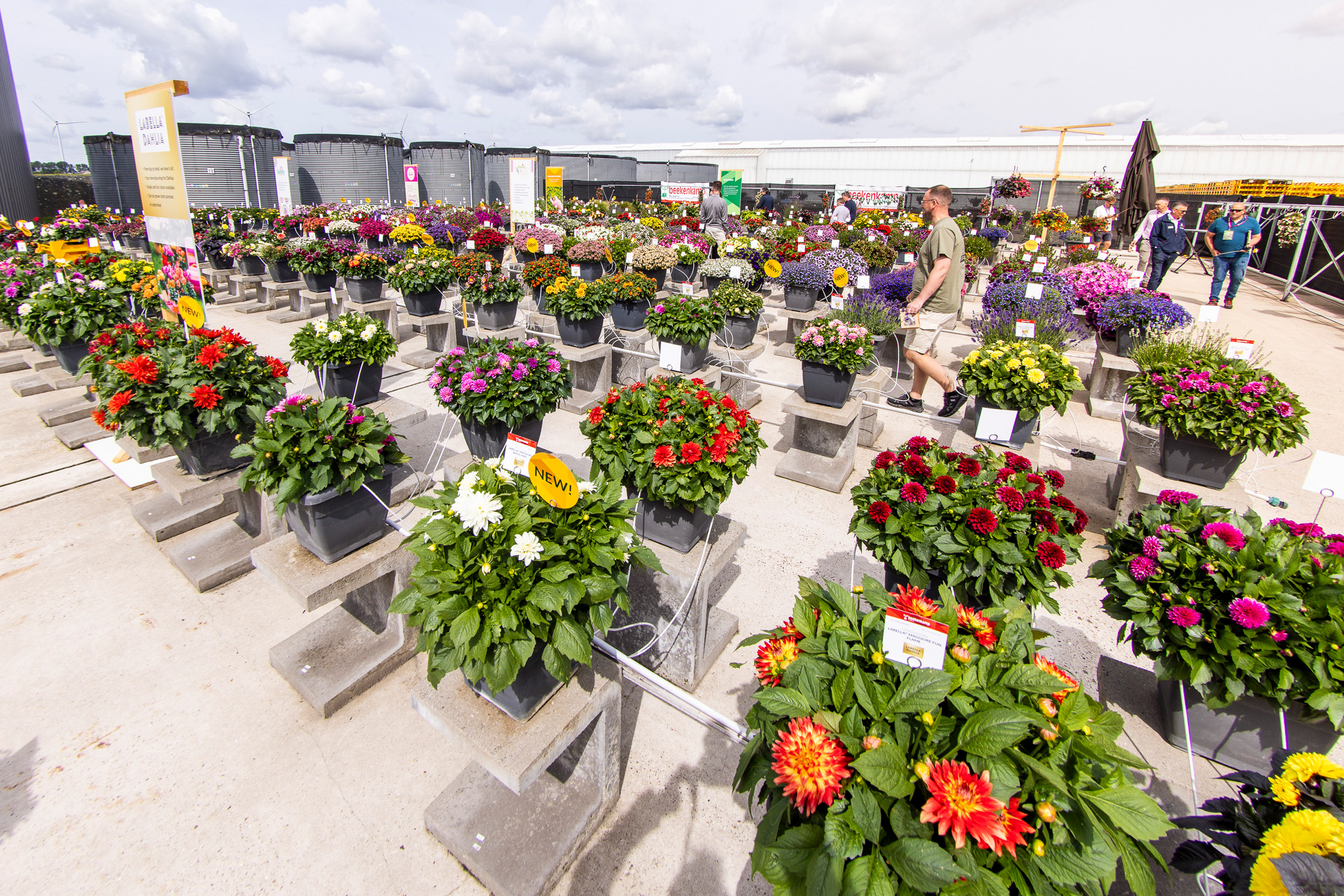 Außenstandort von Beekenkamp Plants in der Region Süd
