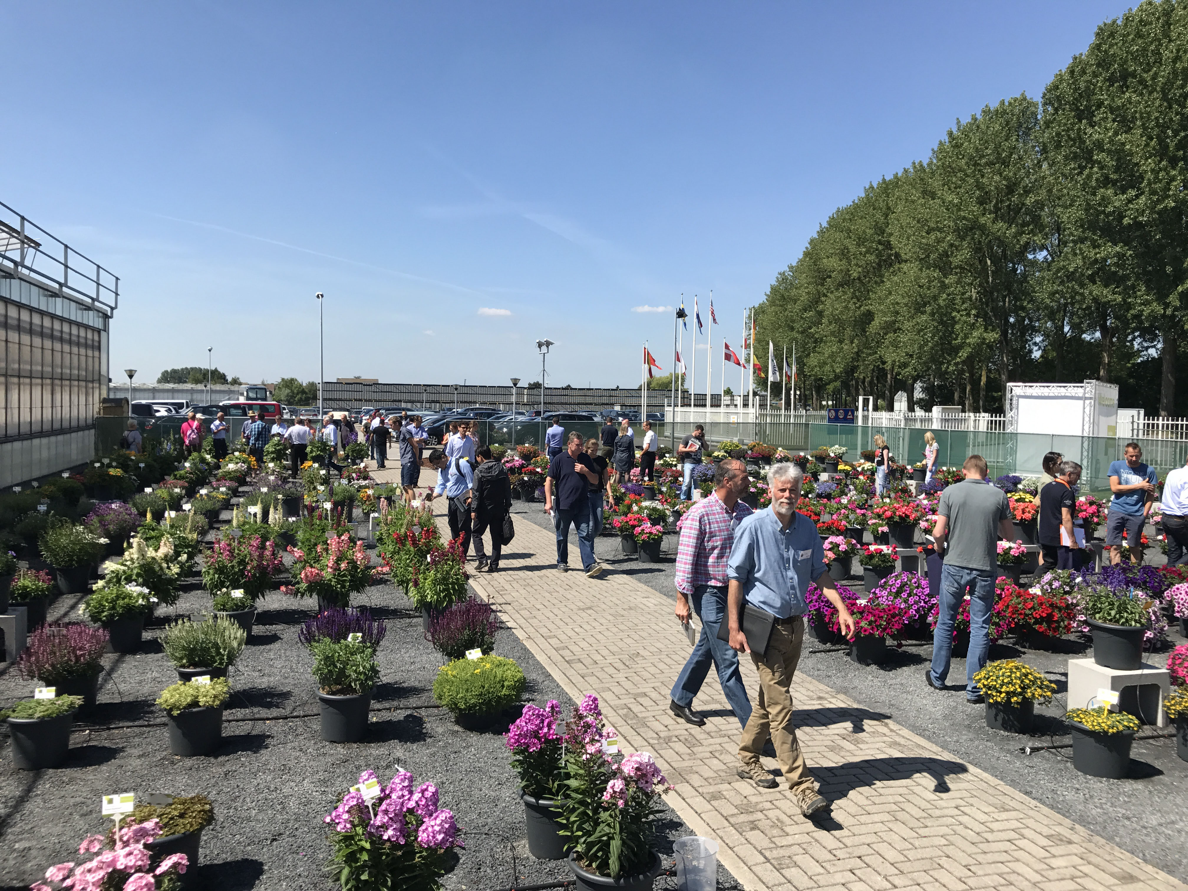 FlowerTrials 2018