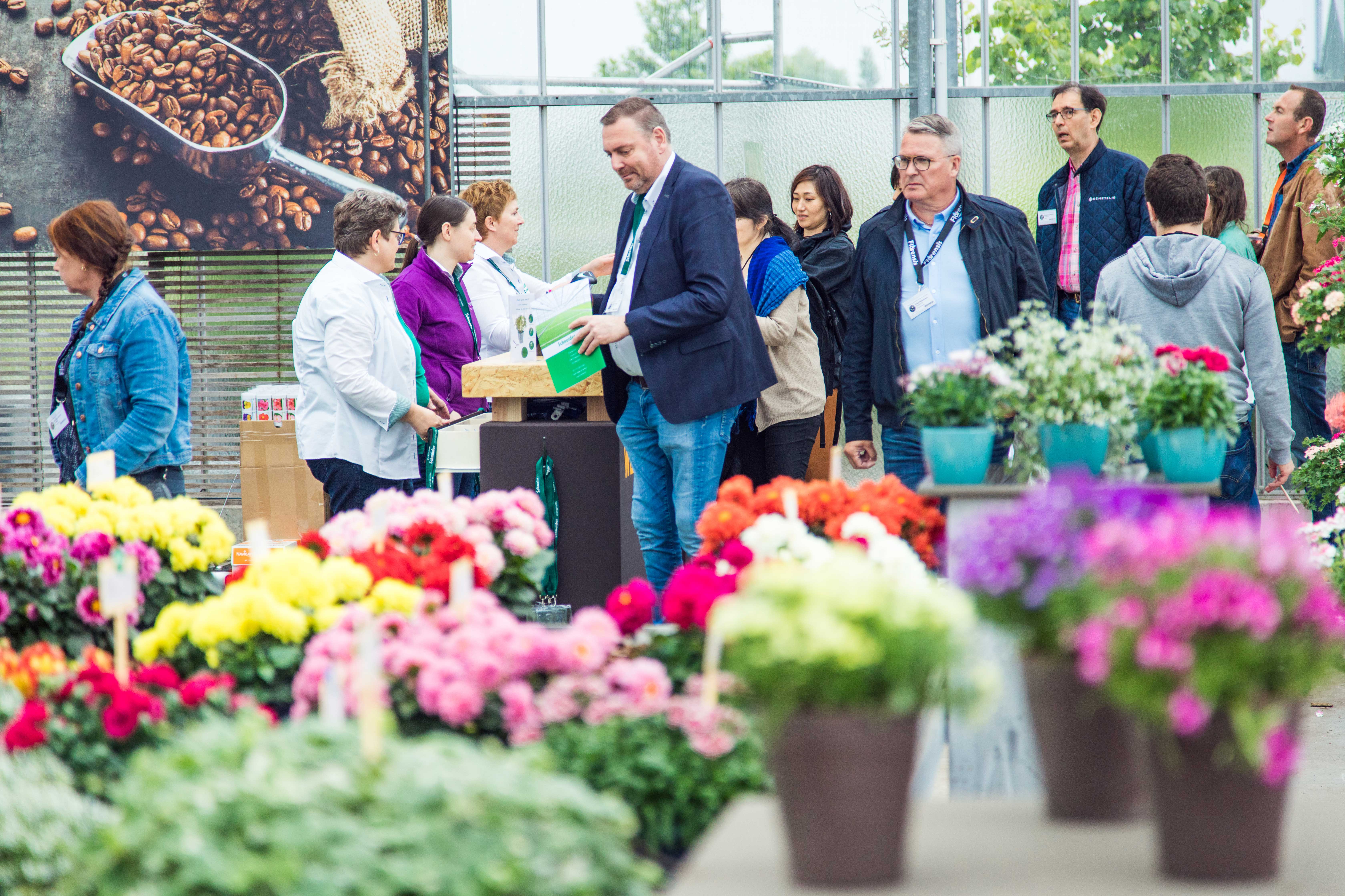 FlowerTrials 2019