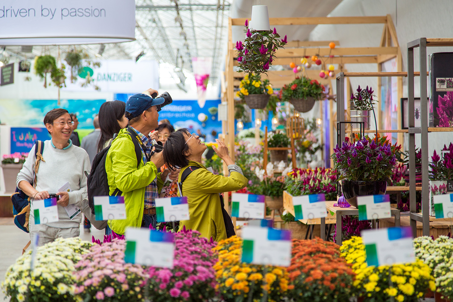 FlowerTrials 2018 inside