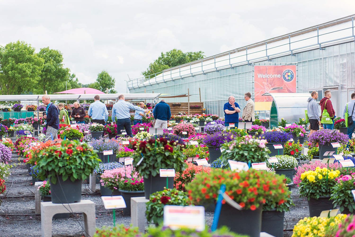 FlowerTrials 2018 outside