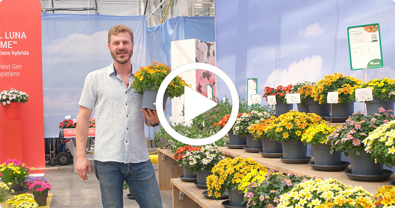 FlowerTrials - We are ready!