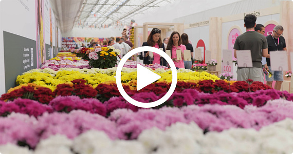 FlowerTrials - We are ready!