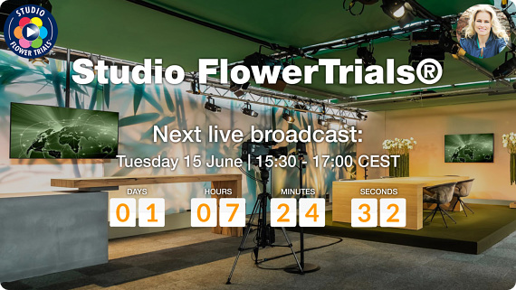 Studio FlowerTrials