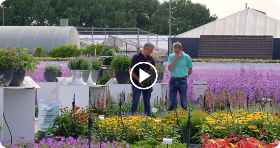 FlowerTrials - We are ready!