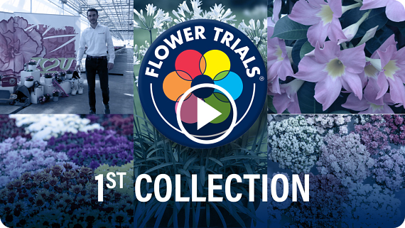 FlowerTrials 2020 Highlights