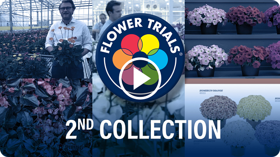 FlowerTrials 2020 Highlights