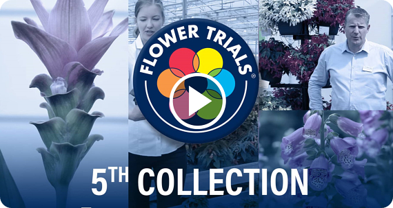 FlowerTrials 2020 Highlights