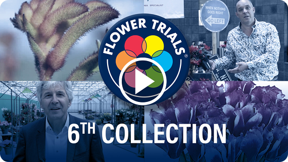 FlowerTrials 2020 Highlights