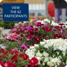 View Participants