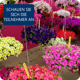 Schauen Sie sich die teilnehmer an