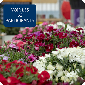 APERÇU DES PARTICIPANTS
