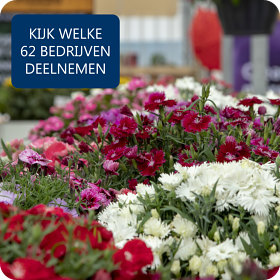 Kijk wie deelneemt