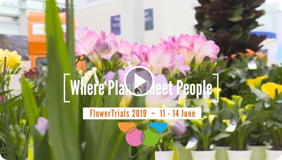 FlowerTrials 2018