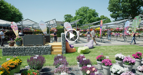 FlowerTrials 2022 - Rhijnland Westfalen Region