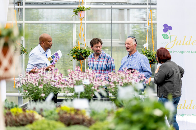 Jaldety Propagation Nurseries at FlowerTrials&reg; 2025