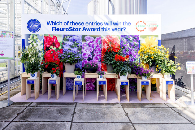 FleuroStar award candidates during FlowerTrials@ 2025