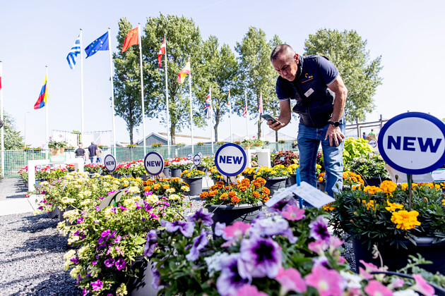 Syngenta Flowers at FlowerTrials&reg; 2025
