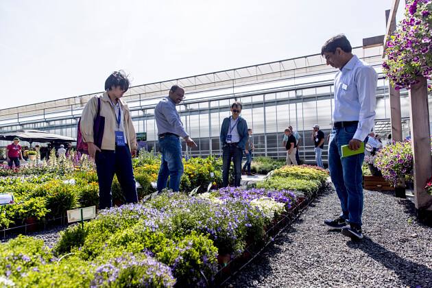 Syngenta Flowers at FlowerTrials&reg; 2025