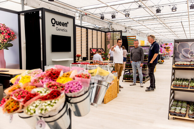 Queen&reg; Genetics at FlowerTrials&reg; 2025