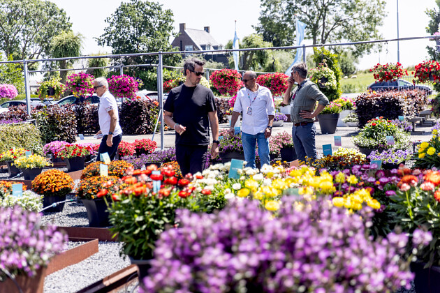 Suntory Flowers Europe at FlowerTrials&reg; 2025