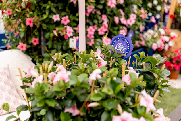 Discover award winning varieties