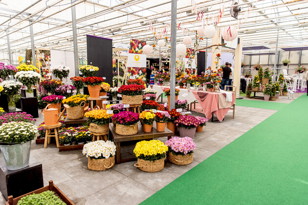 Brandkamp at FlowerTrials&reg; 2025