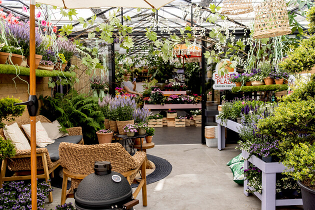Discover retail-ready displays