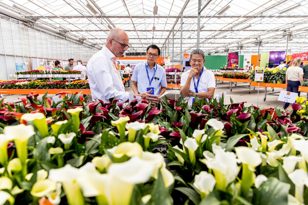 D&uuml;mmen Orange at FlowerTrials&reg; 2025