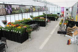 VWS Export - Import of Flowerbulbs - Pot lily trialhouse