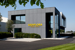 Gediflora