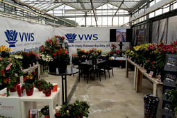 VWS Export - Import of Flowerbulbs - FlowerTrials 2016