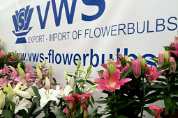 VWS Export - Import of Flowerbulbs - FlowerTrials 2016