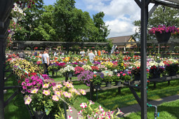 Jonge Planten Grünewald