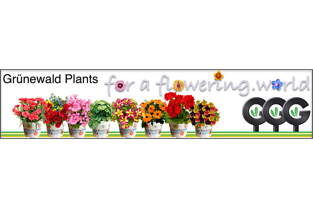 Jonge Planten Gr&uuml;newald