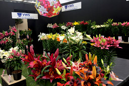 VWS Export - Import of Flowerbulbs - Flowertrials 2017