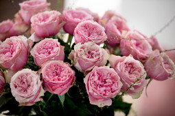 Roses Forever - Rosa Loves Me® With Heart and Soul™