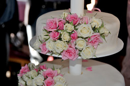 Roses Forever - Gourmet Roses™