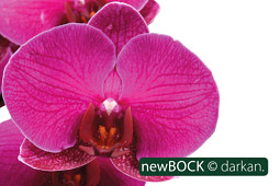 BOCK Bio Science GmbH - BOCK_darkan-6040