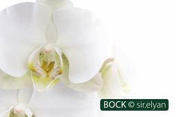 BOCK Bio Science GmbH - BOCK_sir.elyan-6088