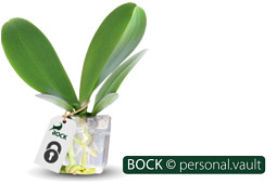 BOCK Bio Science GmbH - BOCK-PersonalVault