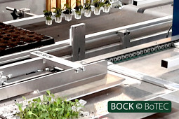 BOCK Bio Science GmbH - BockTissueEasyCulture
