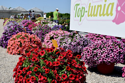 Gruppo PADANA - Top-Tunia trial