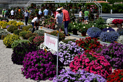 Gruppo PADANA - Verbena Majesty trial