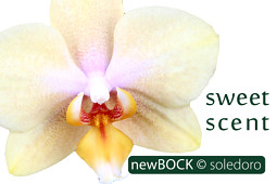 BOCK Bio Science GmbH - BOCK_soledoro-1987