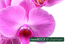BOCK Bio Science GmbH - BOCK_charmant-1986