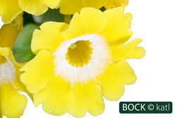 BOCK Bio Science GmbH - BOCK_katl-2330