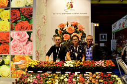 Roses Forever - Family owned rose breeding company - Anders, Rosa and Harley Eskelund 