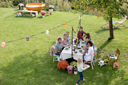 Gediflora - Belgian Mums: Mum-gardenparty